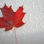 Five Things Hoteliers Can Learn From Canada