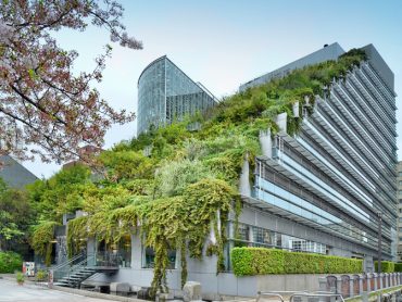 Using Green Trends as a Way of Transitioning a Hotel