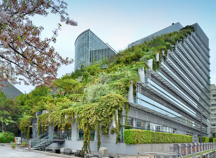 Using Green Trends as a Way of Transitioning a Hotel